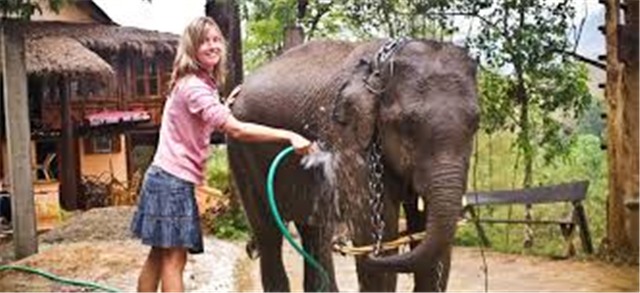 Elephant Riding and Kayaking